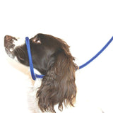Pet Dog Mouth Leash Nylon Dog Walking